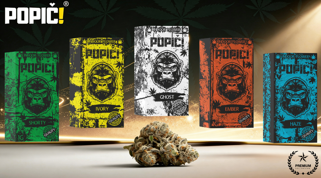 Kopie návrhu Bez názvu-4